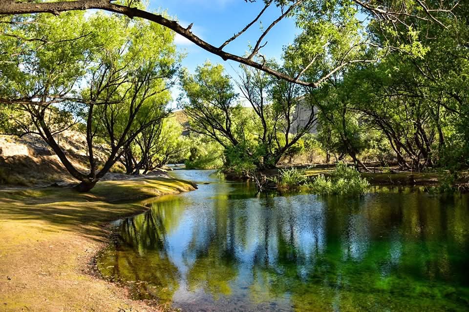 Pareja disfrutando de un picnic en un campo patagónico